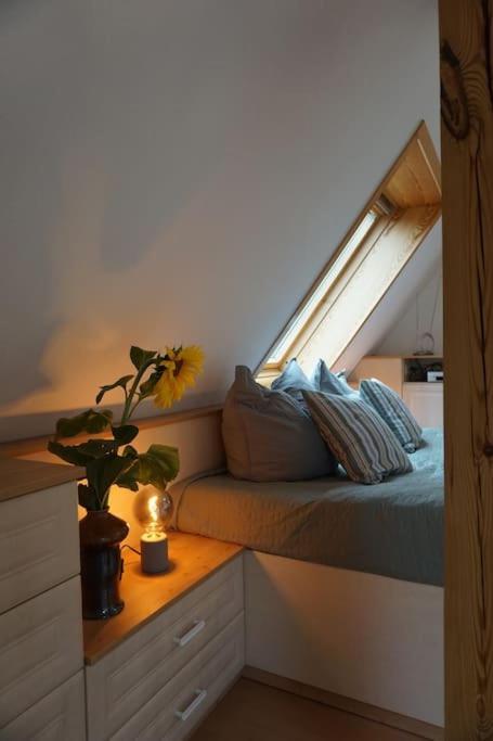 Apartment Mit Ausblick Im Dresdner Suedwesten Dresden Ngoại thất bức ảnh