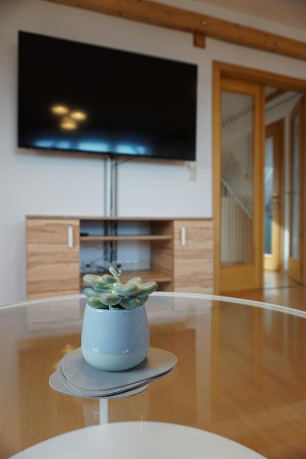 Apartment Mit Ausblick Im Dresdner Suedwesten Dresden Ngoại thất bức ảnh